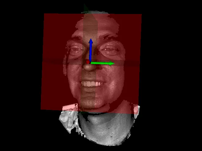 Efekt skanowania twarzy światłem strukturalnym